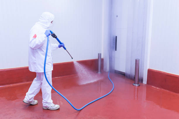 Best Rust Removal  in Tallapoosa, GA